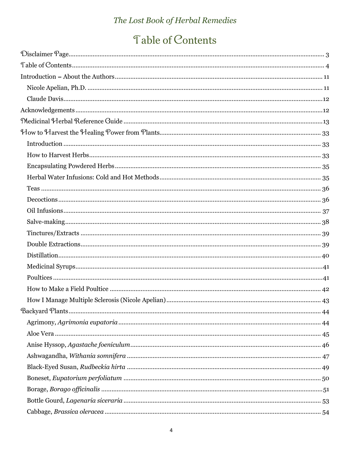 The Lost Book of Herbal Remedies – Natural Healing & Survival Medicine Guide (eBook)