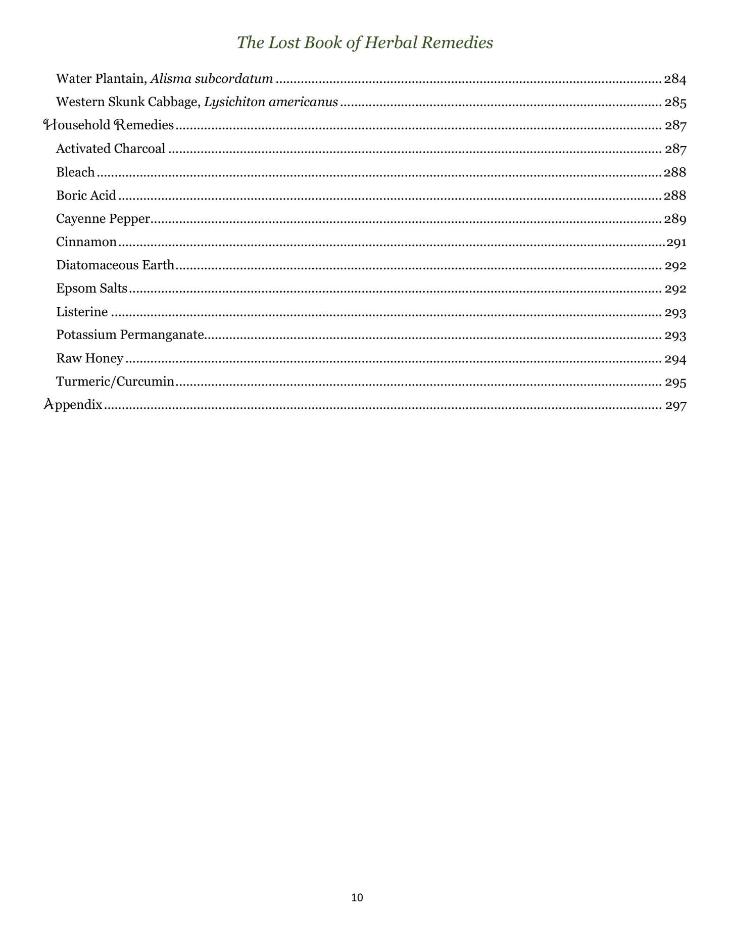 The Lost Book of Herbal Remedies – Natural Healing & Survival Medicine Guide (eBook)